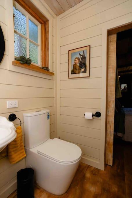 Starling Homesteads Boutique Farmstay, The Stables Apartment Waipara